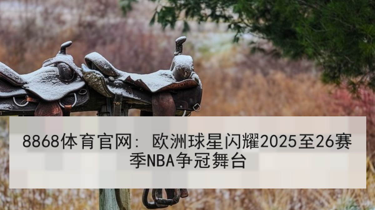 8868体育官网: 欧洲球星闪耀2025至26赛季NBA争冠舞台 8868体育官网: 欧洲球星闪耀2025至26赛季NBA争冠舞台