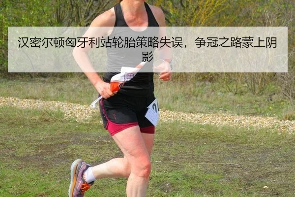 汉密尔顿匈牙利站轮胎策略失误，争冠之路蒙上阴影